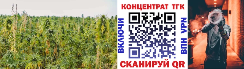 дарнет шоп  KRAKEN онион  ТГК вейп  Бобров 
